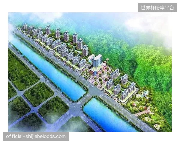 大量“休眠”的体育场馆，揭示了规划阶段对运营成本的集体性忽视